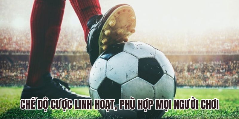 Chế độ đặt cược thể thao Fun88 linh hoạt, phù hợp mọi người chơi